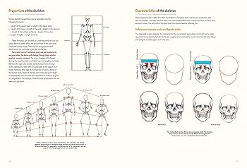 洋書 Anatomie fuer Fantasy-Zeichner Anatomie Zeichnen kleinanzeigen.de